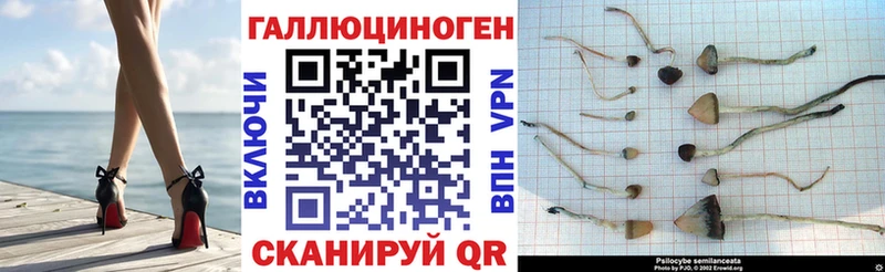 Галлюциногенные грибы Magic Shrooms  Валуйки 